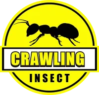 crawling insect package icon