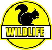wildlife inspection