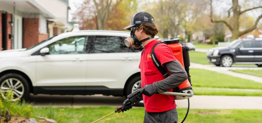 All Seasons Pest exterminator